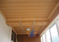 Αδιάβροχες ξύλινες UPVC επιτροπές τοίχων λουτρών με τη βουρτσισμένη επιφάνεια