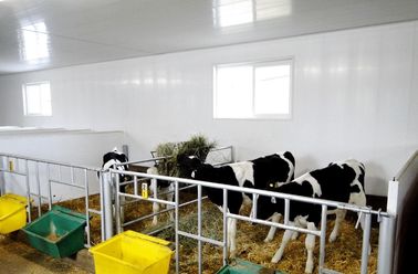 Καλή τιμή Υψηλός σχολιάστε την εκτύπωση ανώτατες επιτροπές PVC 5mm - 10mm για τον αγροτικό τοίχο/το CE στεγών σε απευθείας σύνδεση